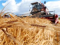 В уборочную кампанию 2025 года вступили все сельхозпредприятия района
