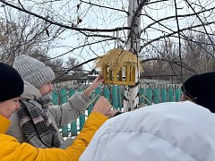 Акция "Покормите птиц зимой" стала доброй традицией для ребят 9"а" класса