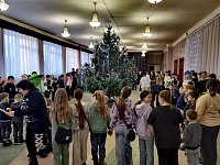 «Ёлка чемпионов» собрала юных спортсменов Духовницкого района