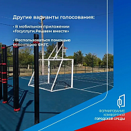 Голосуйте на специальной платформе до 12 июня.