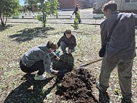 Выпускники-2026 заложили «Зеленое наследие»: на память о себе и будущим первоклассникам