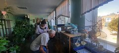 «60 лет спустя»