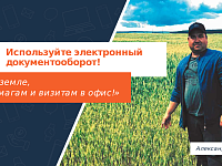 «Саратовэнерго» предлагает скидку на услуги при подключении к ЭДО
