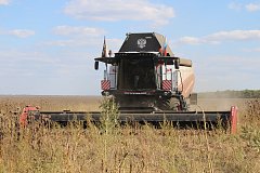 Высокопроизводительные комбайны «Т500» на полях ИП «Рашидов М.М.»