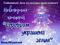 Районный Дом культуры приглашает 29 декабря в 16.00 новогодний концерт
