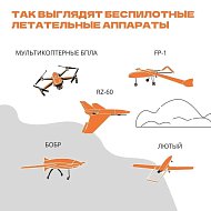 На территории Саратовской области запрещается использовать беспилотные воздушные летательные суда.