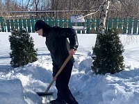 Акция "Покормите птиц зимой"