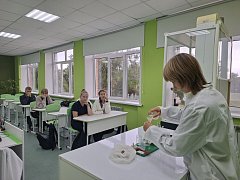 Правила и практика первых опытов.
