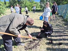 Выпускники-2026 заложили «Зеленое наследие»: на память о себе и будущим первоклассникам