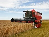 Хозяйства района продолжают уборку яровых культур.