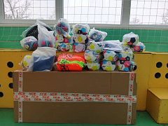 Всероссийский фестиваль "Футбол в школе"