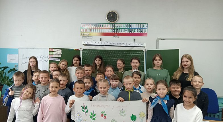 Урок о дикорастущих растениях в годы войны