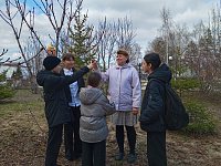 Экскурсия "Сезонные изменения в жизни растений