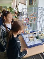 Орлята - экологи