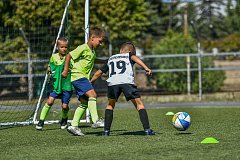 AFL Balakovo Cup 2026 завершён: эмоции, драйв и бесценный опыт!
