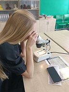 Межрегиональная  научно-практическая конференция "Спектр".