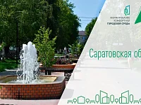 В голосовании за объекты благоустройства в рамках реализации федерального проекта «Формирование комфортной городской среды» приняли участие уже 370 тысяч жителей Саратовской области.