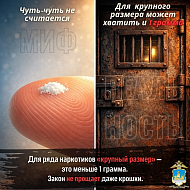 Лёгкие деньги? Нет, это ловушка!