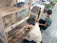 "Точка роста". Экостанция.