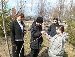 Экскурсия "Сезонные изменения в жизни растений