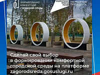 Голосуйте на специальной платформе до 12 июня.