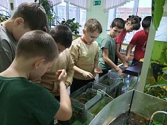 "Точка роста". Экостанция.