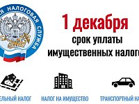 Уплатить имущественные налоги за 2024 год необходимо не позднее 1 декабря 2025 года