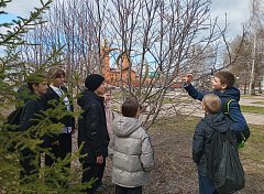 Экскурсия "Сезонные изменения в жизни растений