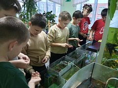 "Точка роста". Экостанция.