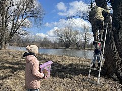 В заказнике «Центральный» разместили сделанные школьниками скворечники