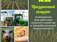 21 ноября в 14.00 праздничный концерт