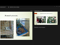 Онлайн-консультация