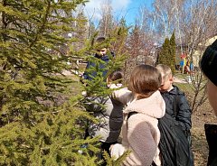 Экскурсия "Сезонные изменения в жизни растений